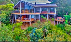 Albany Treehouse Retreat