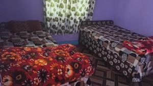 Bansh-Buransh Homestay