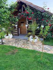 Cabana Sorina