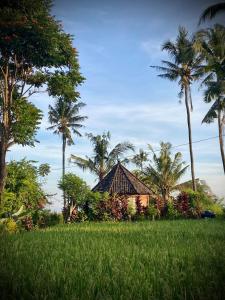 Sunset Sala- Experience the REAL Bali