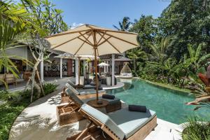 15BR Blue Parrot Arara Layang by BaliSuperHost
