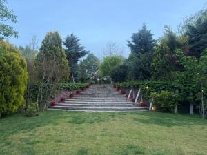 Camping Sandalandia