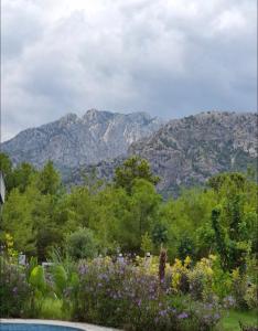 Canyon Villa Göynük Kemer Antalya with Pool