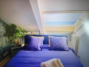 AllenResidenceSR