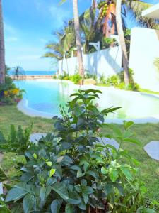 Villa 86A Trước Biển