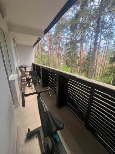 Chamkoria Forest View & Spa Apartment