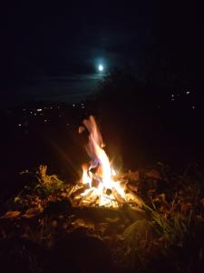 Wild Camping Place to put YOUR TENT
