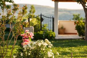 "Villa Nino",luxury oasis near Split,8 pax
