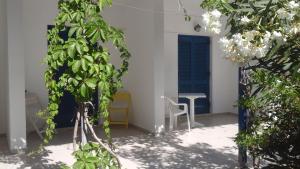 O Fotis Naxos Greece