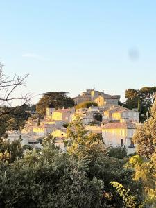 Appartement Typique in Provencal village Menerbes