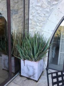 Appartement Typique in Provencal village Menerbes
