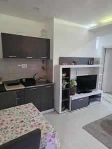 Apartman Stasa