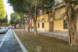 Trieste Avenue Apartment img23