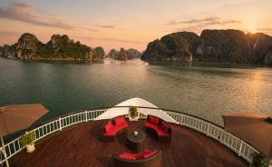 Amour Cruise
