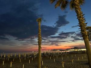 Blue Horizon View