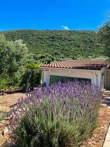 Trullo With Pool In The Hills Near Monopoli