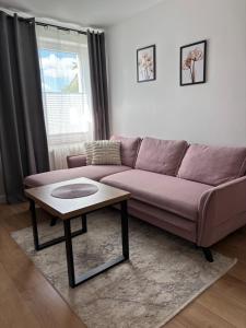 Apartament Mirka centrum