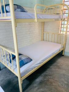 Suns House