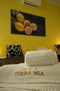 TERRA MIA