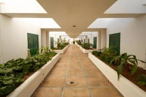 Bungalow Balancon duplex