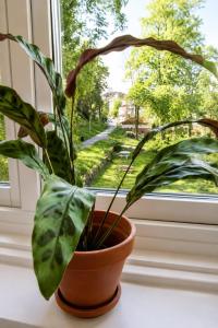Fresh Bright Hideaway in Central Gothenburg