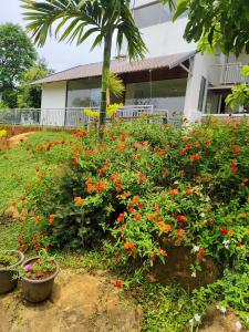 Banaghatt Resorts