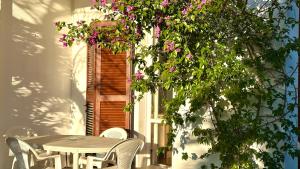 N205 - Numana, delizioso bilocale con giardino