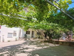 Apartmani Stanojević Čanj