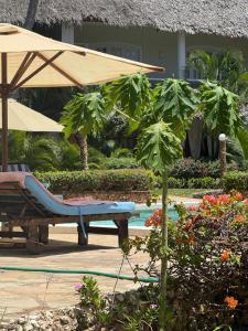 1 Bedroom Villa, Pool, Walk to Beach, Malindi- Kenya