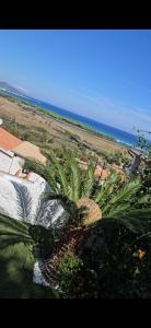 Villetta Ortensia img3