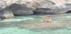 Villetta Ortensia img7