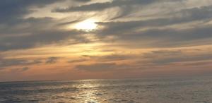 Villetta Ortensia img42