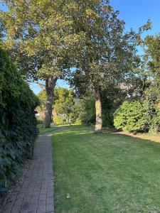 Gemütliche Wohnung mit Garten