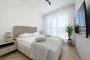 Old Town River Apartaments with Balcony & Parking Wrocław by Noclegi Renters