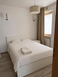 Spacious apartment, Metro Gdańsk, Zoliborz