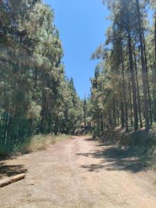 Sol, Piscina y Golf al lado del Mar en Mijas