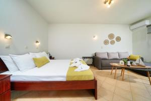 Porto Nuovo Studio 1