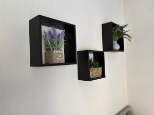 Sunny Suites Palio