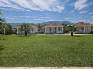 Villa Dimitris Apartments & Bungalows