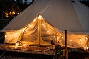 Glamping Hive