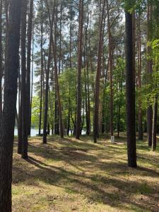 Ośrodek Wojnowo - nad jeziorem