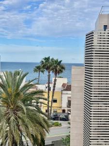 Mediterráneo Suites Port