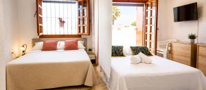 Estudio Mar Menor, Torre de la Horadada