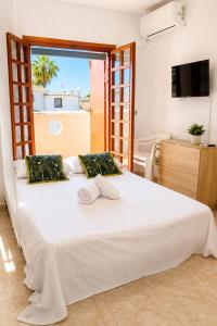 Estudio Mar Menor, Torre de la Horadada