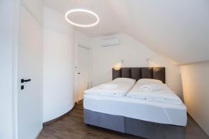 Apartmánový domek se zahrádkou TRE Mikulov