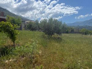 Giulia home