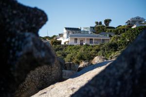 Bosky Dell on Boulders Beach
