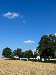 Traditional Scanian Farm In The Fields Of Österlen