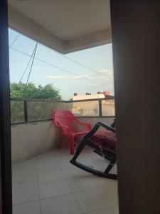 Gaviotas 41