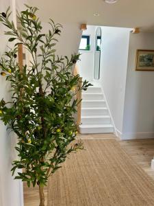 Pourquoi Pas B&B